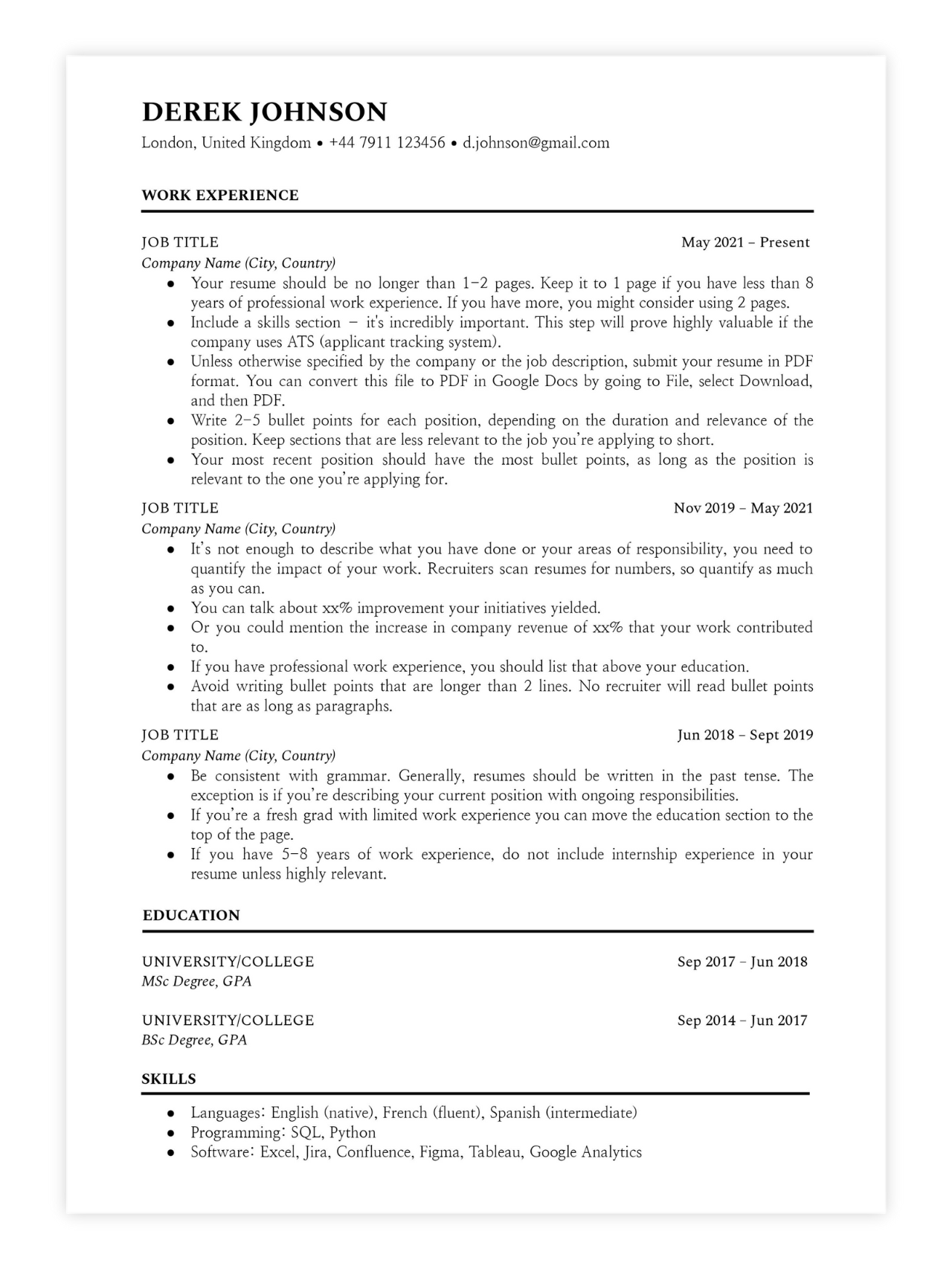 Professional Resume Template